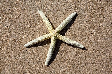 PC版《瑞奇与叮当：分离》各项特性展示预告